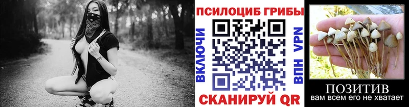 ОМГ ОМГ сайт  сколько стоит  Советский  Псилоцибиновые грибы Psilocybine cubensis 
